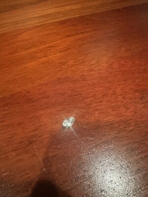 IGI Certified 2.68 CT D VVS1 Lab Grown Round Diamond