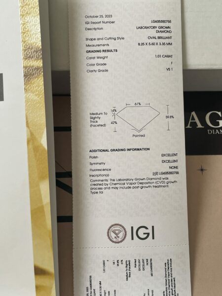 IGI Certified 1.01 CT F VS1 Lab Grown Oval Brilliant Diamond Ring - Image 2