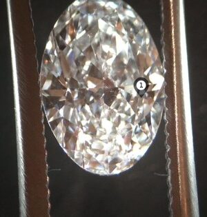 IGI Certified 1.21 CT F SI1 Lab Grown Oval Brilliant Diamond