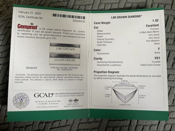 GCAL 1.02 CT F VS1 Lab Grown Princess Cut Diamond Ring and Matching Band - Image 2