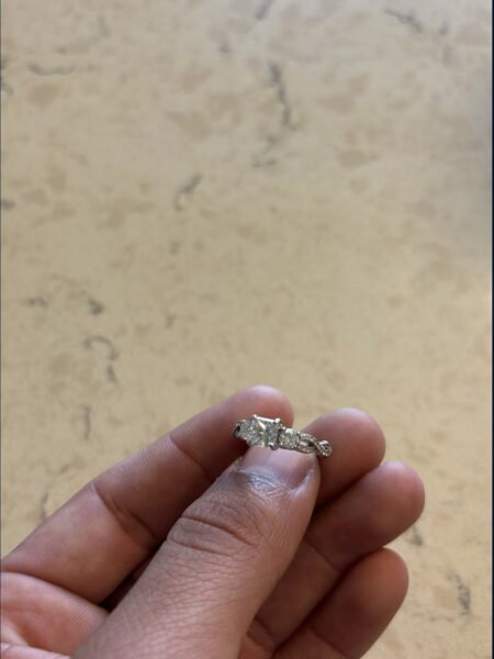 IGI 0.77 Carat E VVS2 Princess Lab Grown Ring