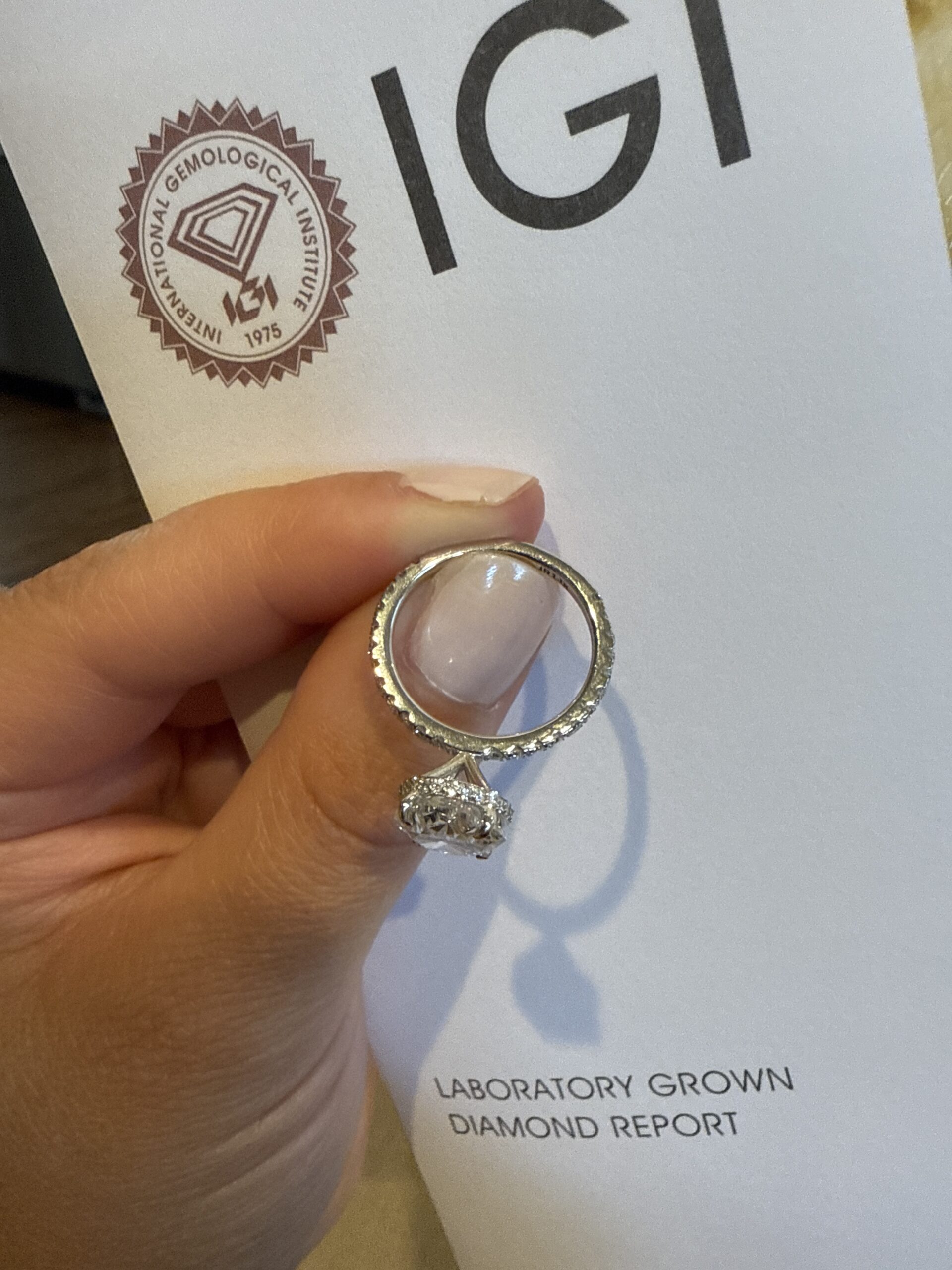 IGI 4 Carat E VS1 Oval Lab Grown Ring - Image 6