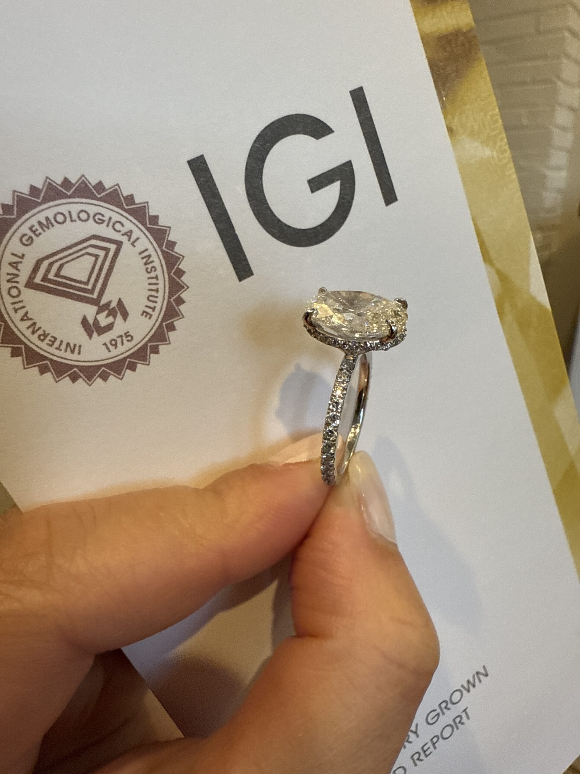 IGI 4 Carat E VS1 Oval Lab Grown Ring - Image 8
