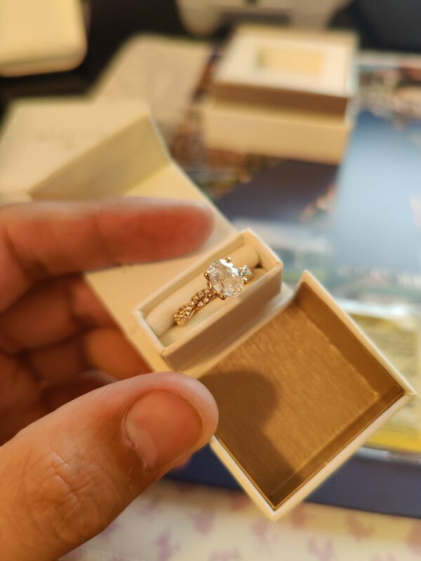 IGI 1 Carat D VS1 Oval Lab Grown Ring - Image 4