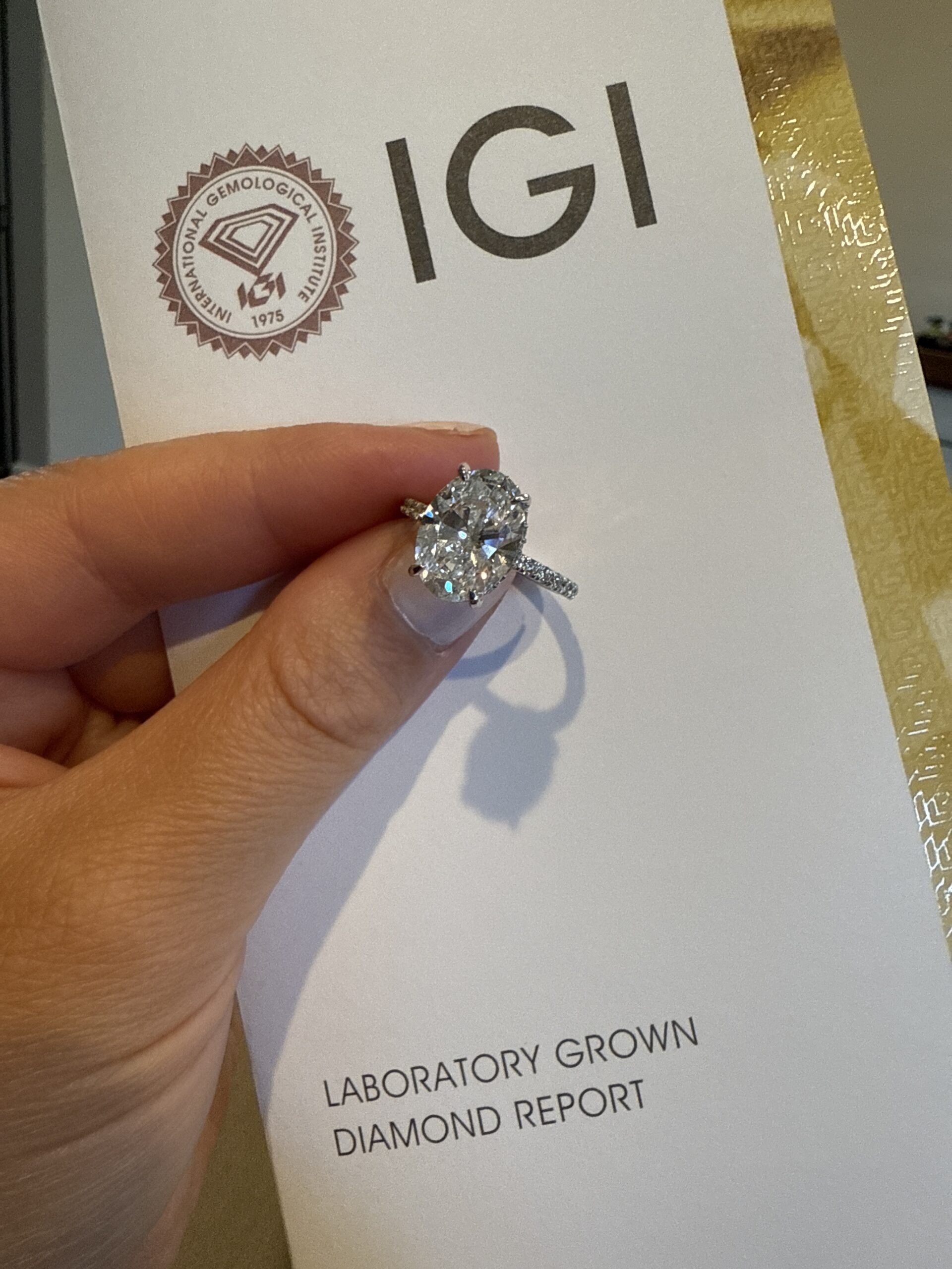 IGI 4 Carat E VS1 Oval Lab Grown Ring - Image 10