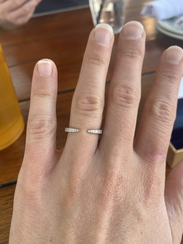 IGI 1.0 Carat E VS1 Round Lab Grown Diamond Ring - Image 9